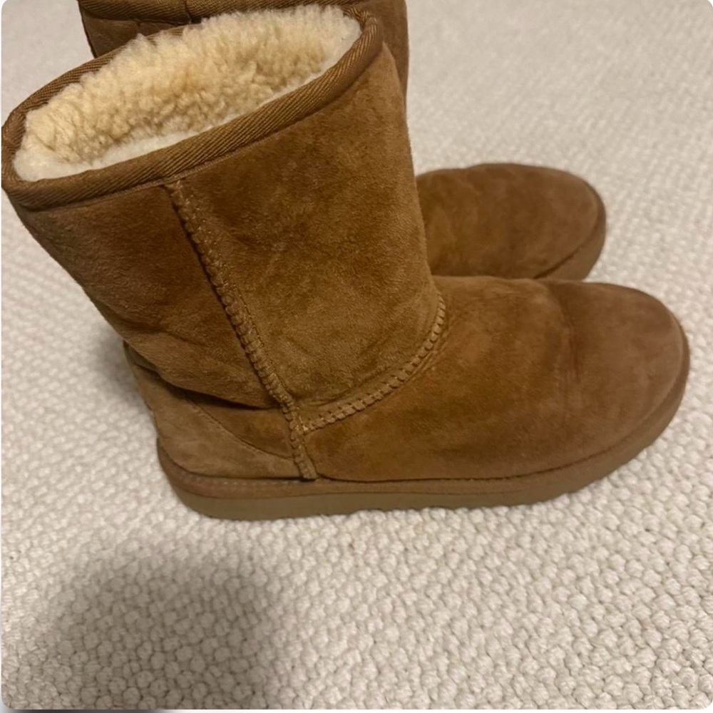 Brown Short Uggs